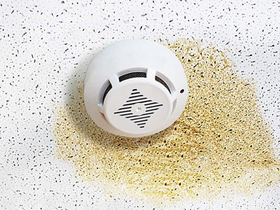 Westco Roofing Images