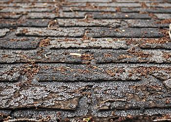Westco Roofing Co. Inc. Images